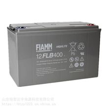 FIAMM蓄电池12FLB100 铅酸太阳能12V26AH 储能工业电池医院航天