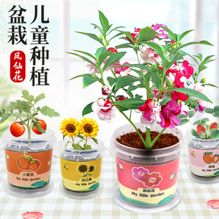 Children Planting Small Potted Plants Kindergarten Primary School Students Mini Creative Potted Planting Observation Plants