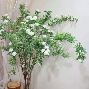 С�����r�����l����������r��ֱ����c����[���û���^�Fُ؛Դ