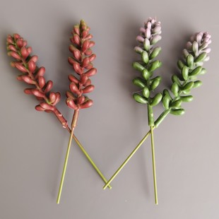 ��������֦�{��޹�²ݹ��������l�Ҿӻ�c��ˇ�廨��Ĺ�֦