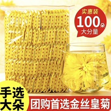 金丝皇菊100朵大朵黄菊一杯一泡独立包装菊花茶团购实惠熬夜泡水