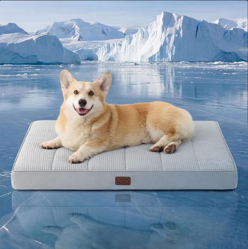 New Pet Mat, Summer Cooling Ice Mat, Cool Sofa Mat for Cats and Dogs, Removable Anti-Slip Bottom Pet Mattress