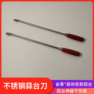 Hardware agricultural tools garlic sprouts harvesting garlic sprouts harvesting knife garlic sprouts scraper garlic sprouts extractor stainless steel garlic sprouts knife
