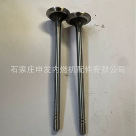 气门及部件;发动机总成;气门部件