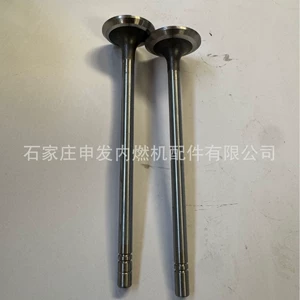 In stock: Carter D8K intake valve 164-2543, exhaust valve 164-2542