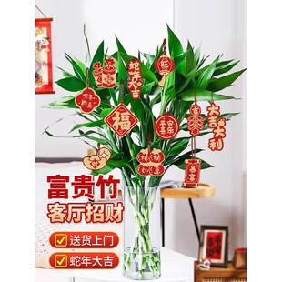 ���F��ֲ��͏d��ؔˮ��ֲ��Gֲ�҃����Ժ��B���^����ˮ�B����ȩ