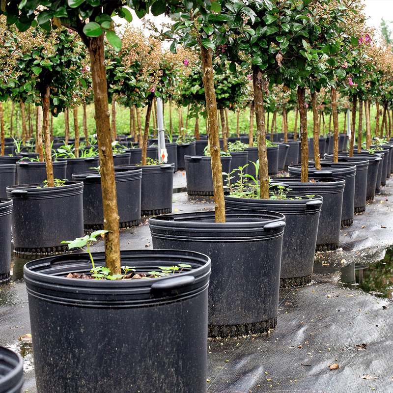 Source Customized Wholesale Gardening Flower Pots Plastic Flower Pots Gallon Pots Extra Large Resin Fruit Tree Nursery Special Pp Plastic