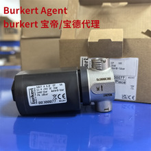����ֱ��ʽ�ߜ�늴��y6027A DN6 24V 00300077 burkert���P��y�T