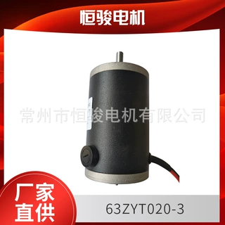 厂家直供 直流电机63ZYT020-3 医疗机械用微型电动机直流电动机