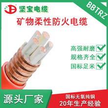 堅寶 BBTRZ 3*25 多芯柔性礦物絕緣金屬防火阻燃耐火加工護套電纜