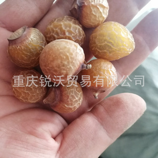 1����ɢ�b���l�o������ �o���ӹ�  ϴ�ֹ��� �o������