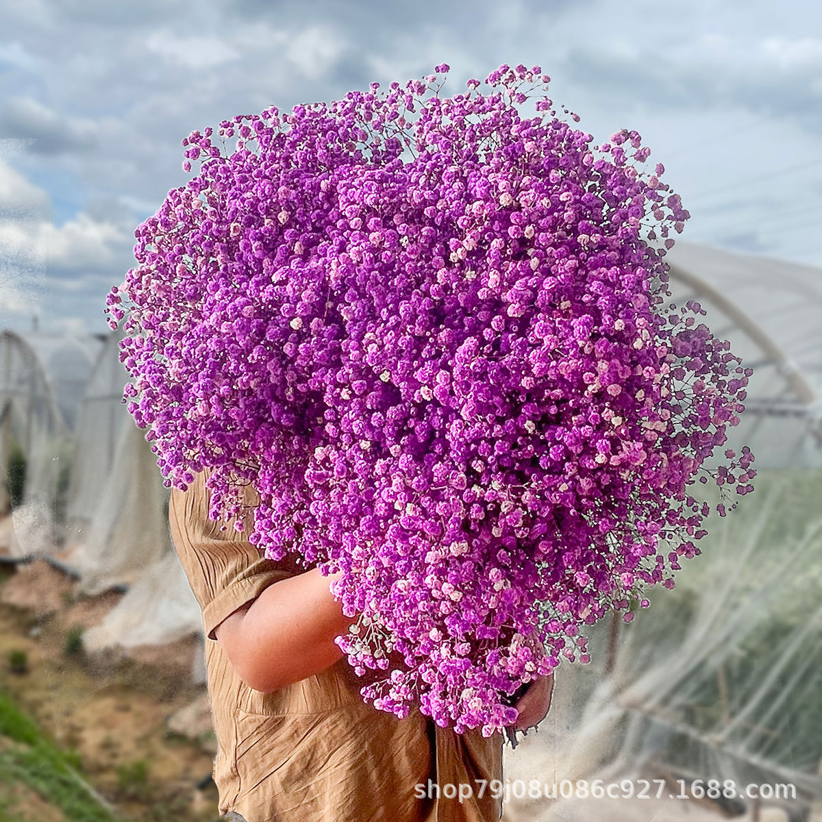 빨간색과 보라색(450g)±30g