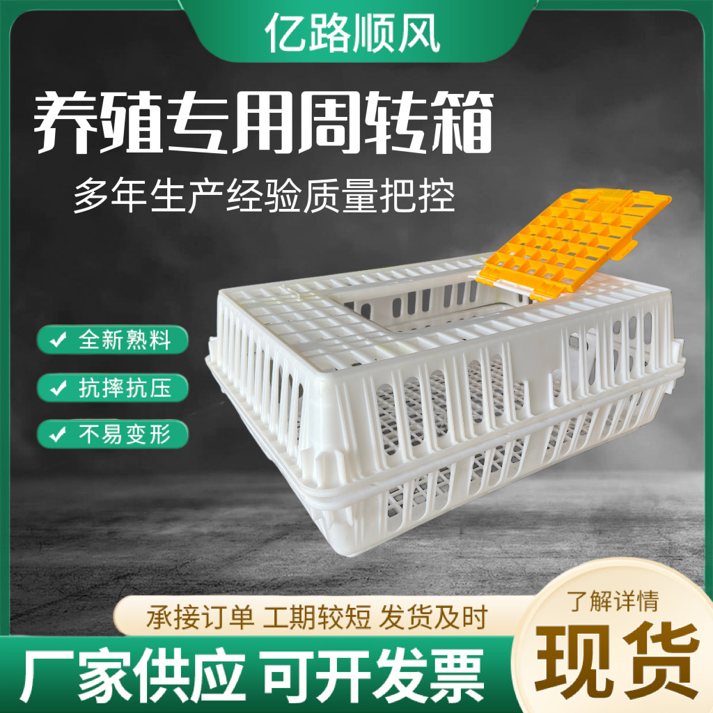 Los fabricantes suministran jaulas de plástico para pollos gruesos, pollos, patos, gansos, palomas y conejos.