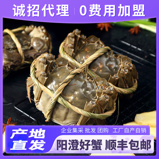 �K���r����lз�з�Y���ͳ�з������S��朰��]24С�rȫ���ۺ�