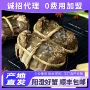 苏州鲜活冷链全天大闸蟹