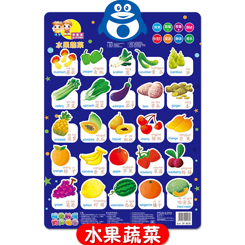 乖寶寶兒童早教有聲掛圖嬰幼兒童益智啟蒙早教點讀有聲掛圖代發