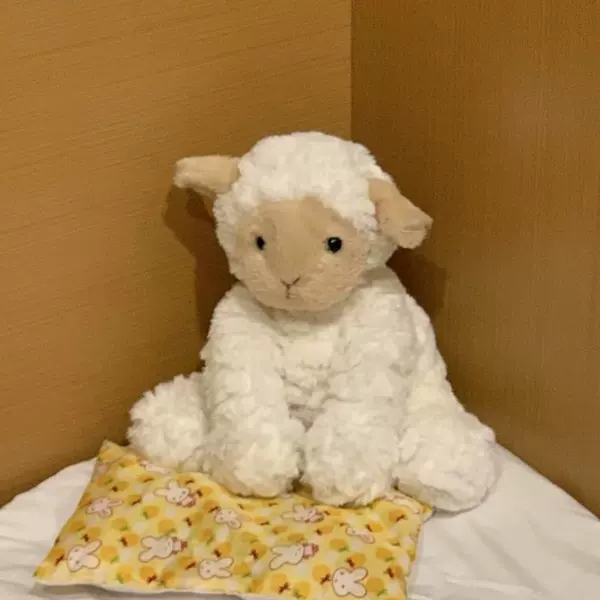 Wave sheep