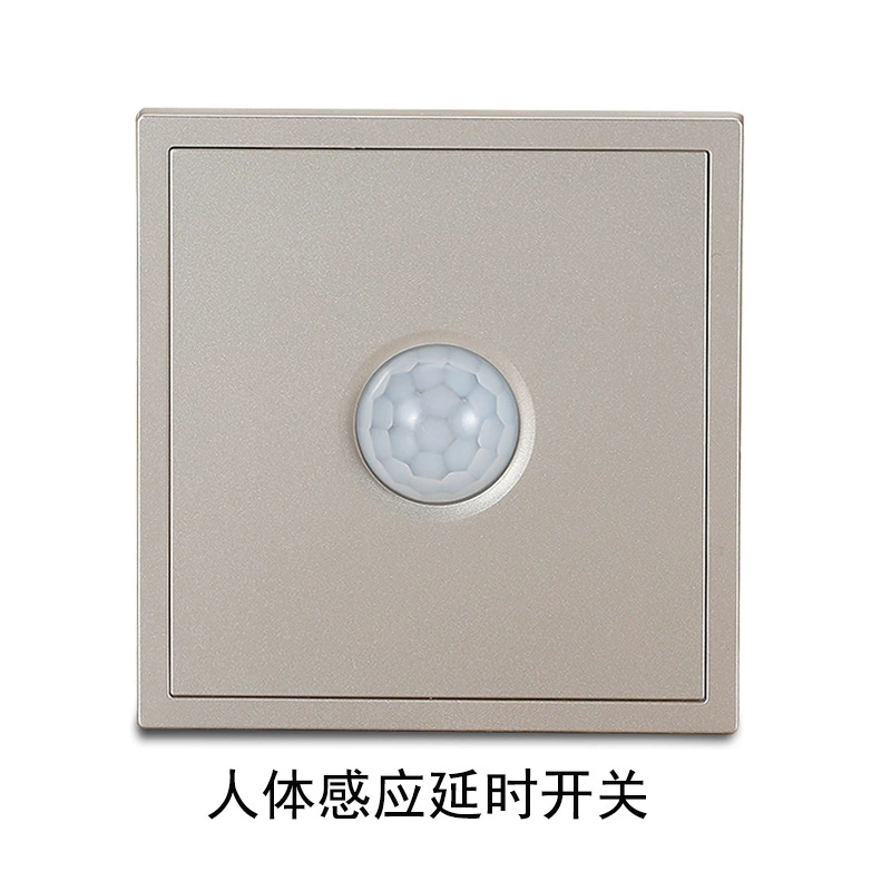 Concealed champagne gold two-three 5-hole wall switch socket 86 USB type USB with double children's lock one-open five-hole socket customized