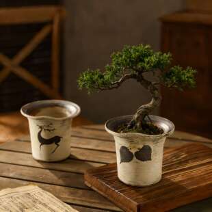 ������մɻ���͹����f�ֹ����Ձ����LС̖�����m�����m�Gֲ����