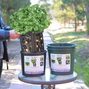 �����Nֲ�������߲˻����ع����^���|�Ӻ��ش�N�����̨�t��Ͱ��