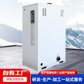 燃气取暖器家用天然气取暖炉煤气液化气烤火炉室内暖气炉