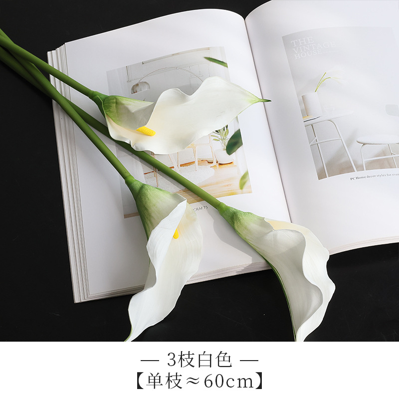 흰색 단일 지점