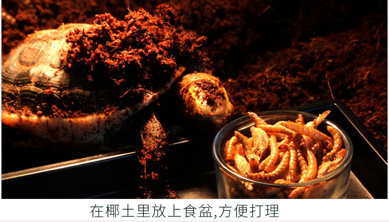 af17665f-0df9-4855-a540-ec4c71150f1d.jpe