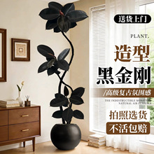 �ڽ�����Ƥ��͏d�Gֲ�߼��д�����ֲ���p���k���҃���ظ߶˺��B