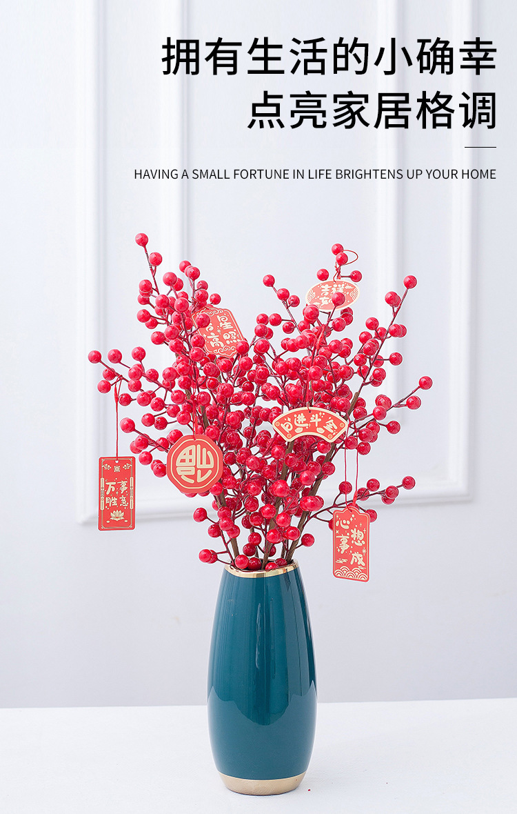 花瓶发财果详情_06