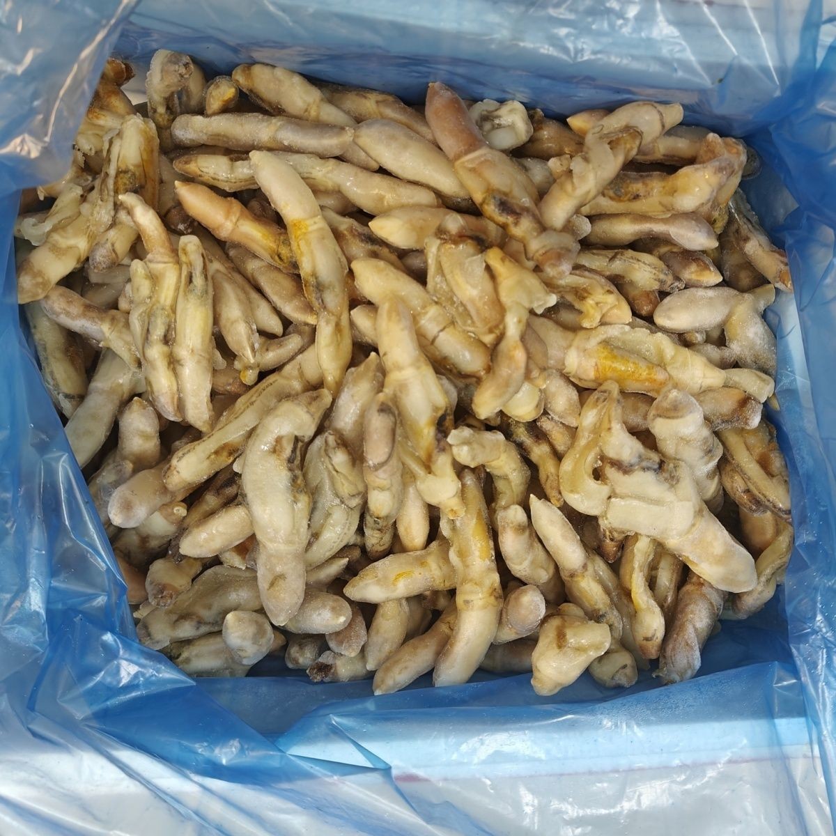 蛏子肉10斤冷冻王肉海鲜冰冻海蛎子生鲜海产牡蛎蛤蜊肉商用蒜蓉
