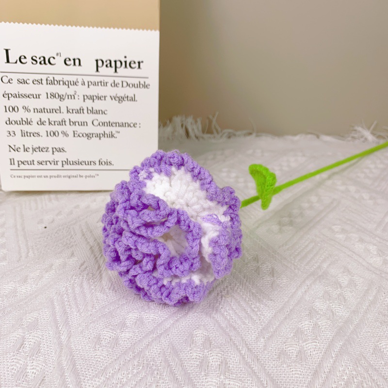 카네이션 그라데이션 보라색