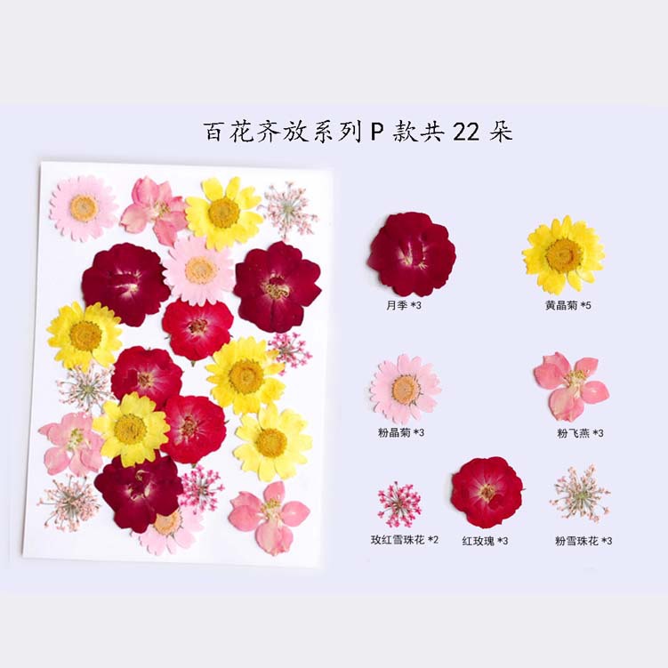 Paquete de material en relieve jardín de infantes en relieve DIY marcador epoxi flor seca caja del teléfono en relieve planta muestra