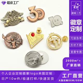 金属徽章定制烤漆珐琅胸章校徽企业周年活动纪念创意异形磁吸徽章