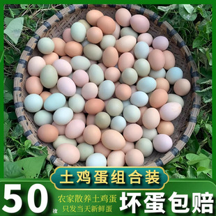 �����r��ɢ�B���u�����r�G�����u������b��ͯ�ЋD�I�B���������l