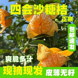 果蔬汁;柠檬;乌龙茶