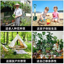 加厚铁锹铁锨农用锰钢铁雪铲子家用种菜种花园艺工具户外挖土除米