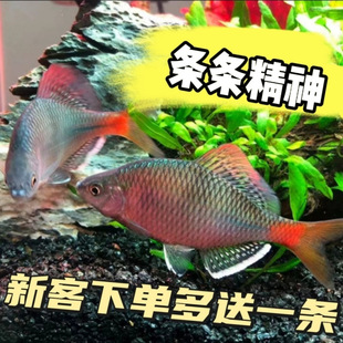 Խ�����QԽ���N���ֺӳص�ˮ�^�p�~ԭ���~���Q�~�߲�������ˮ�~