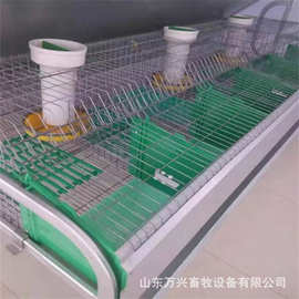 纯原料养兔用塑料垫板兔子垫板兔舍漏粪板价格、图片