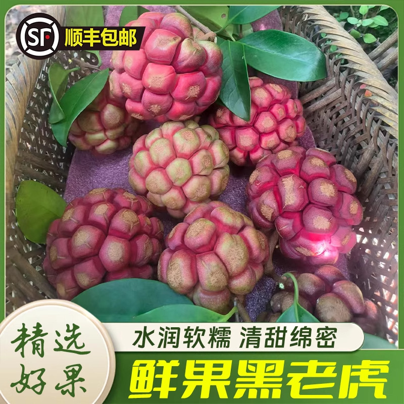 黑老虎布福娜新鲜水果5斤当季现摘恶魔果罕见奇异血藤果顺丰包邮