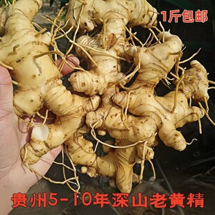 �F���������ϬF�����r�S���ϻ����u�^���Ҝ��ݾƟ��u���aʳ��