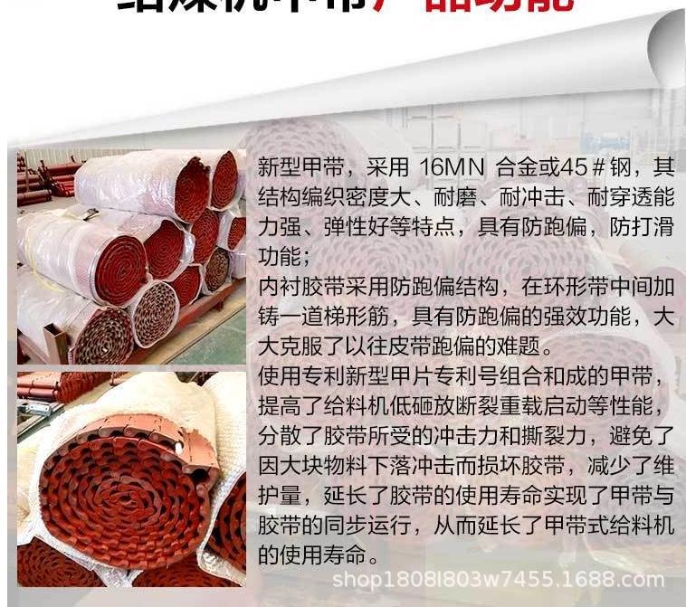 给煤机甲带_3.png