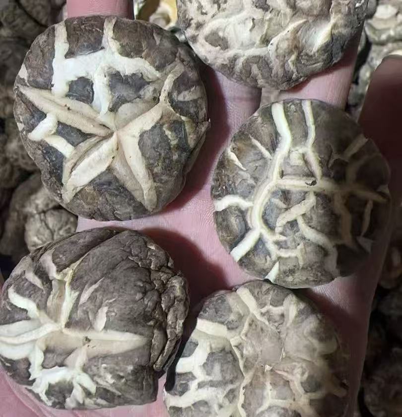 Mushrooms in bulk 250g (4-5)