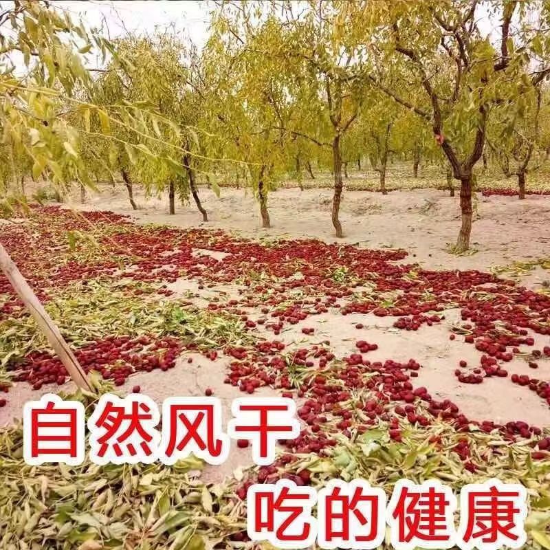 微信图片_20221016083301