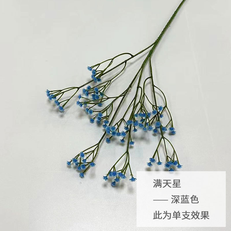 다크 블루