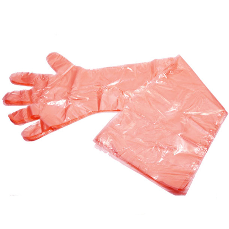 veterinary gloves 3