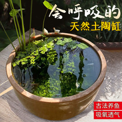 古法鱼缸陶瓷大缸老式水缸造景庭院乌龟缸室外生态缸荷花睡莲盆缸