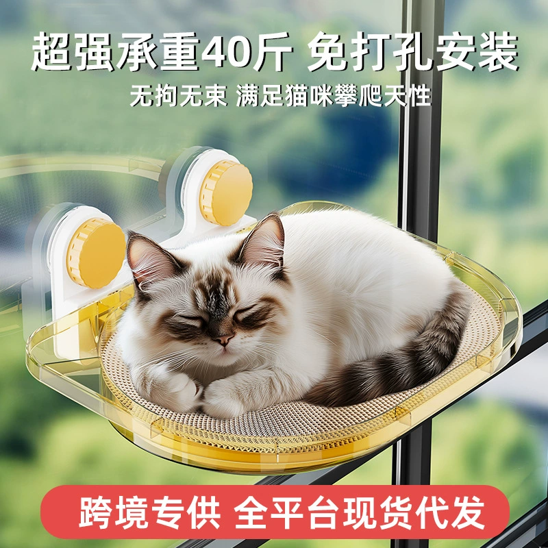 Swings solar-powered, cat, hanging basket, pet