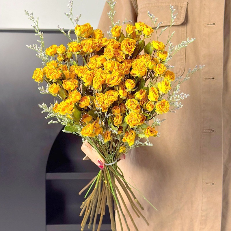 꿈의 거품 + 연인을 위한 50개 이상의 장미