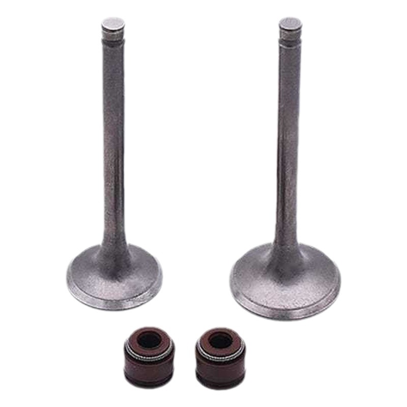 Motocicleta asistida por potencia Jialing 48CCJH7090JD100 motocicleta de viga curva fabricante de válvulas de admisión accesorios al por mayor