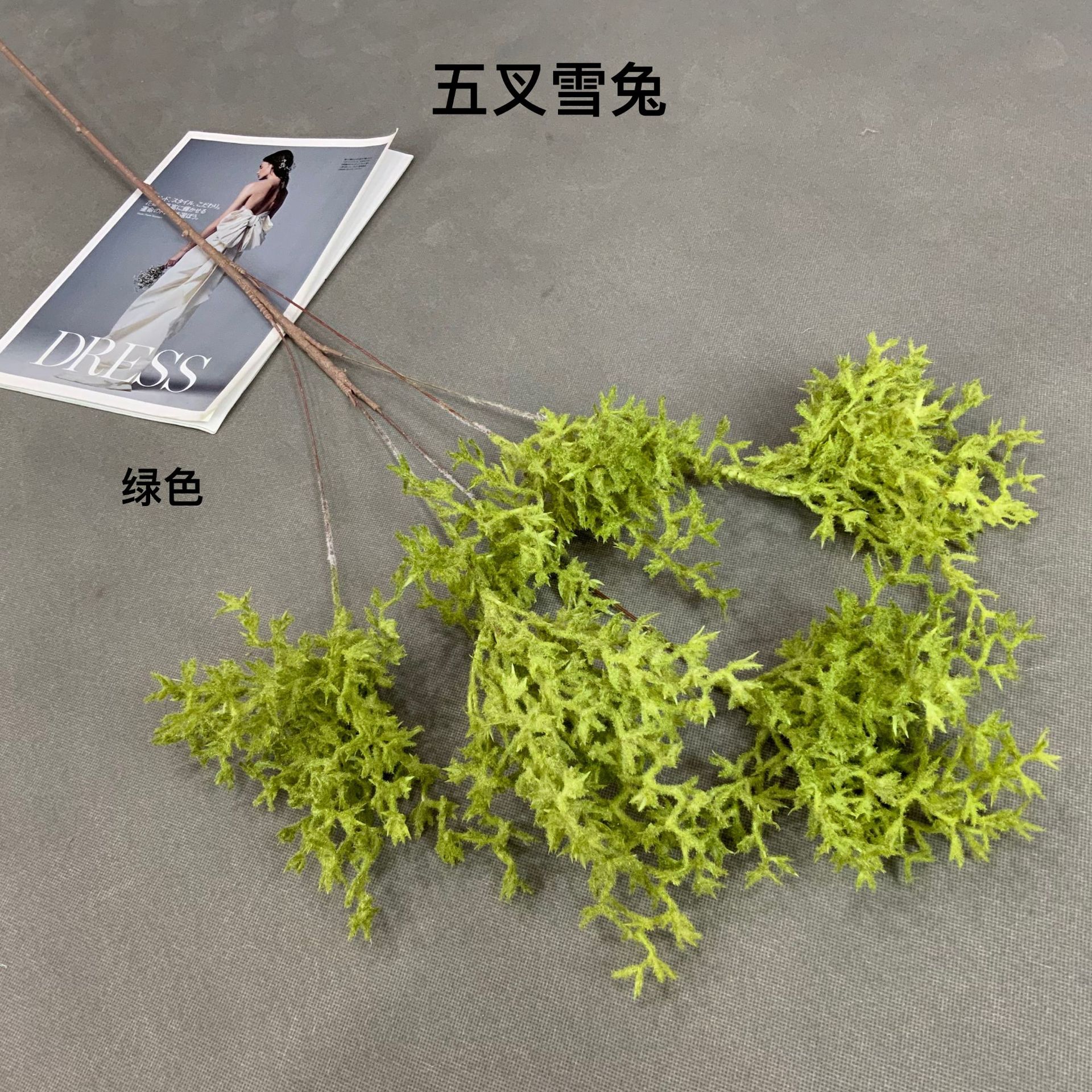 7dc25078f964eb7d38dca87680ae58